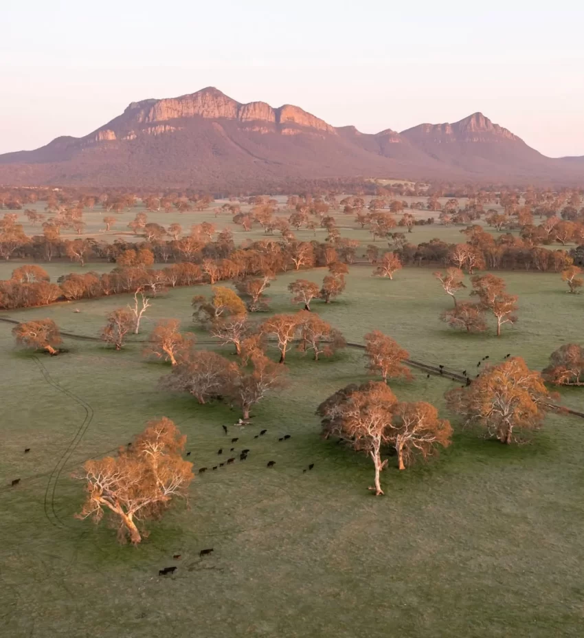 Grampians