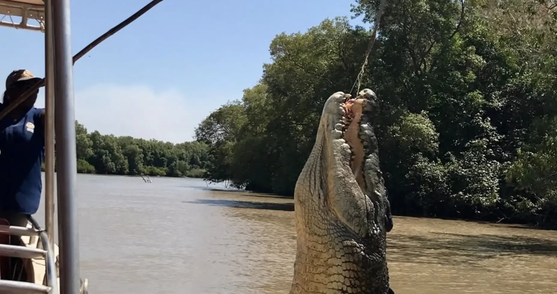 Jumping Crocodiles Australia