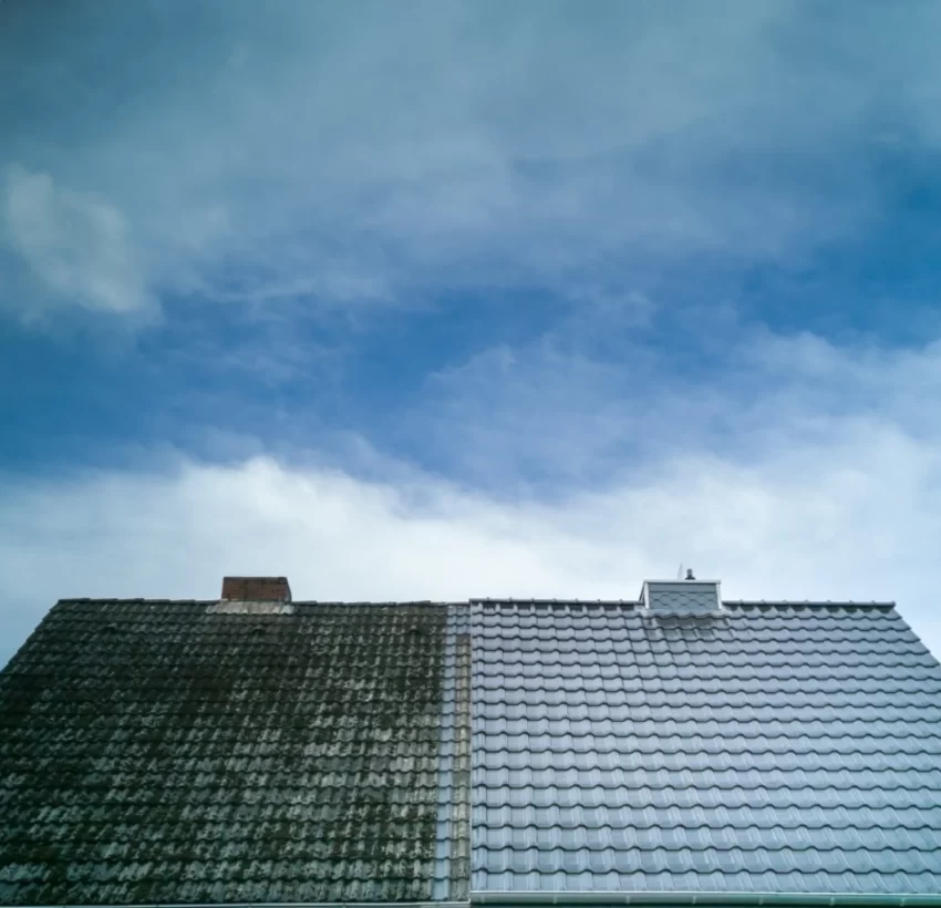Roof Cleaning