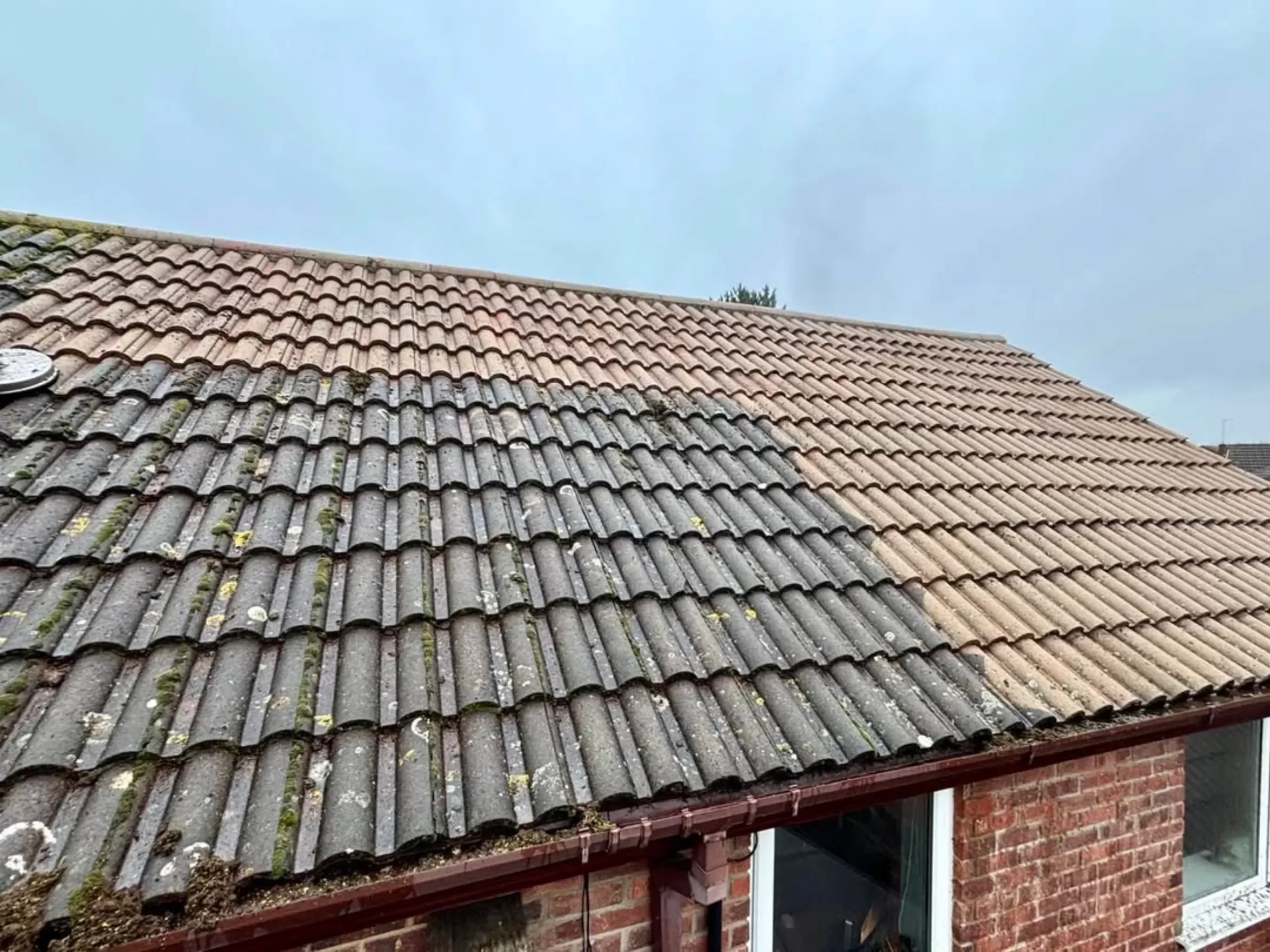 roof shingles