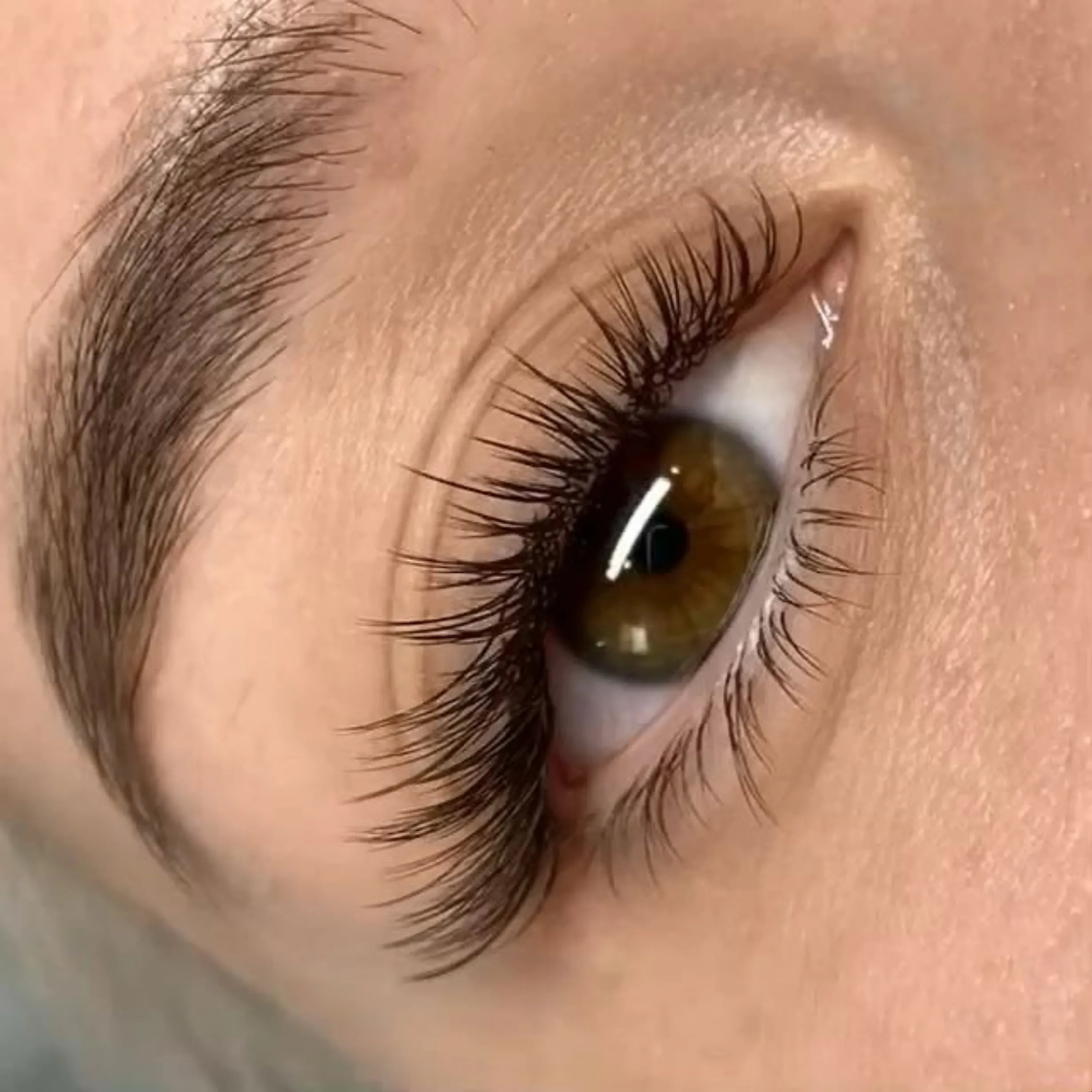 average lash thickness